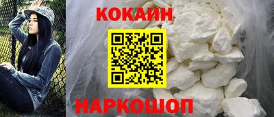 apvp Камышлов