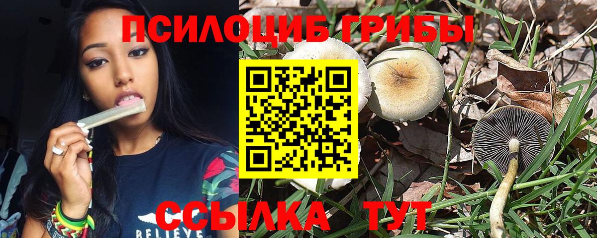 Галлюциногенные грибы Psilocybine cubensis  Вход с VPN  Кизилюрт 