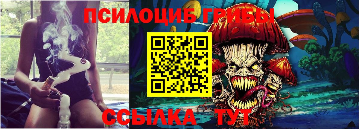 Псилоцибиновые грибы MAGIC MUSHROOMS Кизилюрт